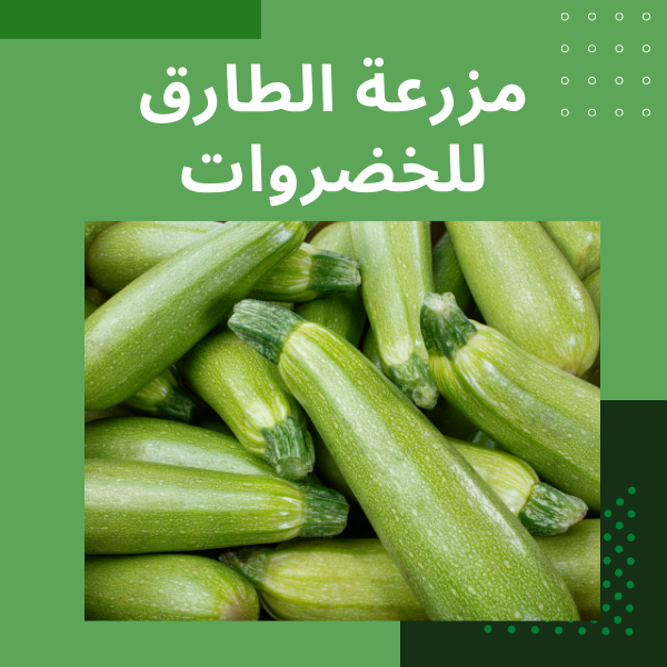 مزرعة الطارق للخضروات