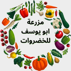 مزرعة ابو يوسف للخضروات